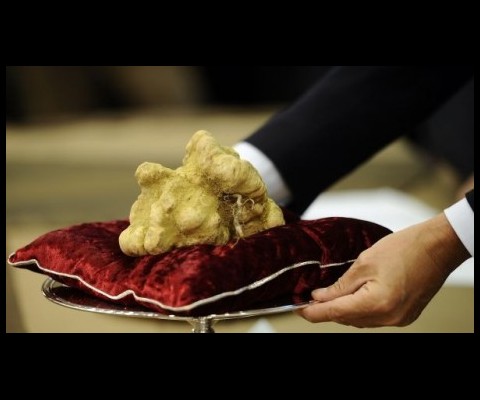 Stanley Ho recently matched his own world record price paid for a truffle when he bought a couple white truffles for a total cost of $330,000 at a truffle auction.

The billionaire made his winning bid through representatives at the event held at his own Grand Lisboa hotel in Macau last week end.