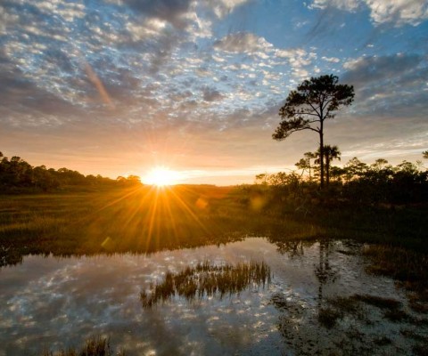 Kiawah Island is a private community of scope and sophistication, an idyllic retreat from everyday life.
