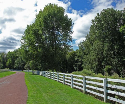 Terrific opportunity to acquire one of the last available building lots inside the lower gate at Conyers Farm. Current owner has a set of plans by architect Ken Nadler to build a magnificent stone estate on the property; wetlands and P&Z approvals are in place. Mr. Nadler plans for this home include underground parking for 21 cars in addition to the planned 5 car garage