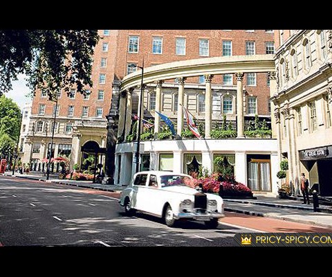 It has just been disclosed that a beautiful spot haloing a landmark hotel on the prestigious Ocean Drive has become the latest draw for intimate events and party scenery; the rooftop at the Betsy is the place to be for darling views, total privacy, crystallized service and brilliance factor when hosting an elite affair. Catering to large and small gatherings alike, this location is the fashion accessory to any soiree and surpasses any existing venue in South Beach for its smashing ambiance and untouched hors d’oeuvres.